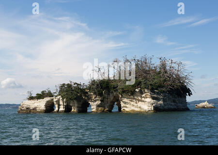 Une vue générale de Matsushima Bay vu à partir d'un bateau dans le cadre de la ''1000km relais à Tokyo 2016'' dans l'événement de promotion de Matsushima le 30 juillet 2016, Miyagi, au Japon. Il y a environ 260 petites îles dans la baie, dont le nom signifie Pine Islands. Au moment de la Mars 2011 tremblement de terre et tsunami les îles a servi comme un obstacle naturel d'affaiblir l'impact du tsunami sur la ville côtière. Matsushima est l'un des endroits les plus populaires à visiter pour les touristes dans la région. © Rodrigo Reyes Marin/AFLO/Alamy Live News Banque D'Images