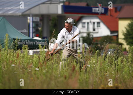 Dziemiany, Pologne 30 avril, juillet 2016 les agriculteurs en concurrence concurrence kachoube dans lequel ils ont la tâche dès que possible mow 20 mètres de long, sur le terrain en utilisant seulement les faux traditionnel. Après la coupe qu'ils ont à faire de paquets, et placez-les en piles. Chaque championnat de l'année marque le début de la récolte sur la région de Cachoubie, dans le nord de la Pologne. Sur la photo : trains agriculteur kachoube avant la compétition sur la pelouse. Banque D'Images