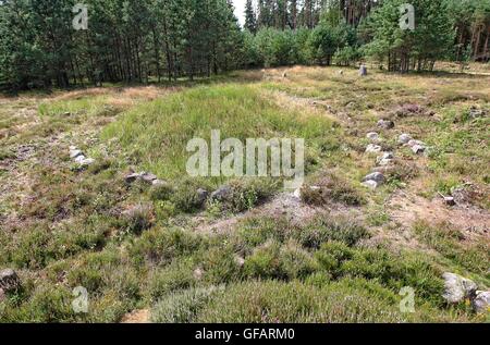 Tratkownica, Pologne. , . Journée ensoleillée et chaude dans le nord de la Pologne village de Tratkownica il a de bonnes raisons de visiter le vieux cimetière dans Tratkownica, mystérieuse. Le cimetière dans Tratkownica fondée par les Goths dans le siècle. Goths est venu à la kachoube Lake District de Scandinavie, apportant avec elle de nouveaux structures funéraires en pierre entouré de monticules - couronnes. Entre les monticules ont été cercles de l'intérieur de gros rochers qui a tenu des réunions et des tribunaux. Entre les buttes, ont également brûlé et squelettiques graves avec les os brûlés. Credit : Michal Fludra/Alamy Live News Banque D'Images