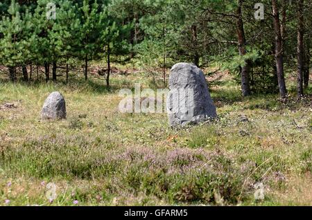 Tratkownica, Pologne. , . Journée ensoleillée et chaude dans le nord de la Pologne village de Tratkownica il a de bonnes raisons de visiter le vieux cimetière dans Tratkownica, mystérieuse. Le cimetière dans Tratkownica fondée par les Goths dans le siècle. Goths est venu à la kachoube Lake District de Scandinavie, apportant avec elle de nouveaux structures funéraires en pierre entouré de monticules - couronnes. Entre les monticules ont été cercles de l'intérieur de gros rochers qui a tenu des réunions et des tribunaux. Entre les buttes, ont également brûlé et squelettiques graves avec les os brûlés. Credit : Michal Fludra/Alamy Live News Banque D'Images