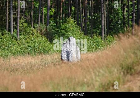 Tratkownica, Pologne. , . Journée ensoleillée et chaude dans le nord de la Pologne village de Tratkownica il a de bonnes raisons de visiter le vieux cimetière dans Tratkownica, mystérieuse. Le cimetière dans Tratkownica fondée par les Goths dans le siècle. Goths est venu à la kachoube Lake District de Scandinavie, apportant avec elle de nouveaux structures funéraires en pierre entouré de monticules - couronnes. Entre les monticules ont été cercles de l'intérieur de gros rochers qui a tenu des réunions et des tribunaux. Entre les buttes, ont également brûlé et squelettiques graves avec les os brûlés. Credit : Michal Fludra/Alamy Live News Banque D'Images