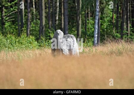 Tratkownica, Pologne. , . Journée ensoleillée et chaude dans le nord de la Pologne village de Tratkownica il a de bonnes raisons de visiter le vieux cimetière dans Tratkownica, mystérieuse. Le cimetière dans Tratkownica fondée par les Goths dans le siècle. Goths est venu à la kachoube Lake District de Scandinavie, apportant avec elle de nouveaux structures funéraires en pierre entouré de monticules - couronnes. Entre les monticules ont été cercles de l'intérieur de gros rochers qui a tenu des réunions et des tribunaux. Entre les buttes, ont également brûlé et squelettiques graves avec les os brûlés. Credit : Michal Fludra/Alamy Live News Banque D'Images