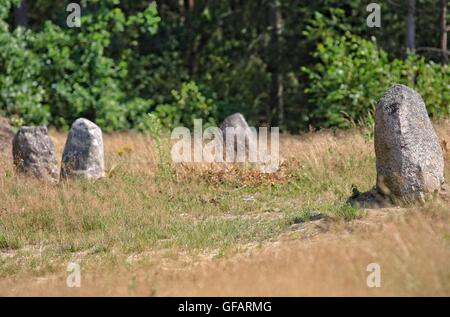 Tratkownica, Pologne. , . Journée ensoleillée et chaude dans le nord de la Pologne village de Tratkownica il a de bonnes raisons de visiter le vieux cimetière dans Tratkownica, mystérieuse. Le cimetière dans Tratkownica fondée par les Goths dans le siècle. Goths est venu à la kachoube Lake District de Scandinavie, apportant avec elle de nouveaux structures funéraires en pierre entouré de monticules - couronnes. Entre les monticules ont été cercles de l'intérieur de gros rochers qui a tenu des réunions et des tribunaux. Entre les buttes, ont également brûlé et squelettiques graves avec les os brûlés. Credit : Michal Fludra/Alamy Live News Banque D'Images