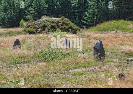 Tratkownica, Pologne. , . Journée ensoleillée et chaude dans le nord de la Pologne village de Tratkownica il a de bonnes raisons de visiter le vieux cimetière dans Tratkownica, mystérieuse. Le cimetière dans Tratkownica fondée par les Goths dans le siècle. Goths est venu à la kachoube Lake District de Scandinavie, apportant avec elle de nouveaux structures funéraires en pierre entouré de monticules - couronnes. Entre les monticules ont été cercles de l'intérieur de gros rochers qui a tenu des réunions et des tribunaux. Entre les buttes, ont également brûlé et squelettiques graves avec les os brûlés. Credit : Michal Fludra/Alamy Live News Banque D'Images