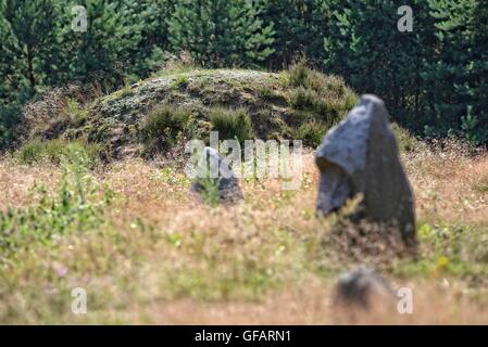 Tratkownica, Pologne. , . Journée ensoleillée et chaude dans le nord de la Pologne village de Tratkownica il a de bonnes raisons de visiter le vieux cimetière dans Tratkownica, mystérieuse. Le cimetière dans Tratkownica fondée par les Goths dans le siècle. Goths est venu à la kachoube Lake District de Scandinavie, apportant avec elle de nouveaux structures funéraires en pierre entouré de monticules - couronnes. Entre les monticules ont été cercles de l'intérieur de gros rochers qui a tenu des réunions et des tribunaux. Entre les buttes, ont également brûlé et squelettiques graves avec les os brûlés. Credit : Michal Fludra/Alamy Live News Banque D'Images