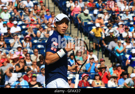 Toronto, Canada. 30 juillet, 2016. Kei Nishikori du Japon célèbre victoire après le match de demi-finale du simple messieurs contre Stan Wawrinka de la Suisse à la Coupe Rogers 2016 à Toronto, Canada, le 30 juillet 2016. Kei Nishikori a gagné 2-0. Credit : Zou Zheng/Xinhua/Alamy Live News Banque D'Images