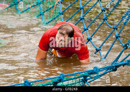 Ortie tough guy Warrior 2016 concurrent, près de Wolverhampton UK à l'assemblée annuelle de l'été parcours Banque D'Images