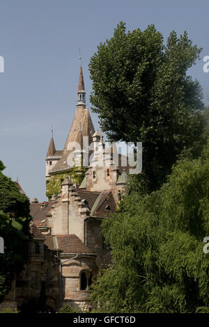 Le château de Vajdahunyad et aimant de l'eau dans les arbres du parc de la ville Banque D'Images