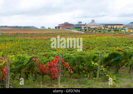 Musée de la Culture de la vigne et du vin. Briones, La Rioja, Espagne. Banque D'Images