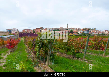 Sommaire et de vignobles. Briones, La Rioja, Espagne. Banque D'Images