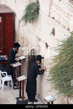 Jérusalem : les hommes juifs priant devant le Mur occidental, Mur Occidental ou Kotel, survivant reste de le Mont du Temple, l'endroit le plus saint de l'hébraïsme Banque D'Images