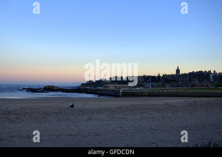 Coucher du soleil à West Sands, St Andrews, Fife, Scotland Banque D'Images