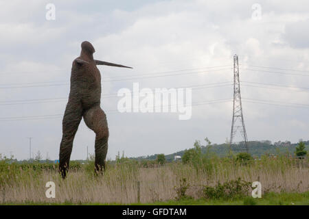 Willow Man par l'artiste Serena de la Hey Banque D'Images