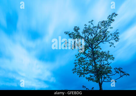 Paysage en wolfheze, nuages de tempête Banque D'Images