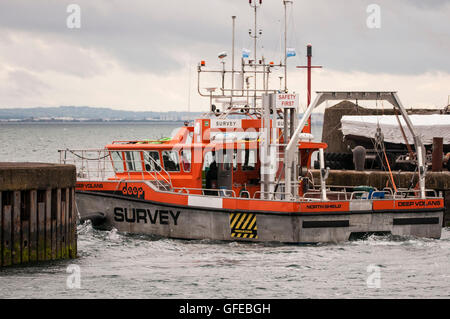 Des Volans navire à Carrickfergus Harbour. Banque D'Images