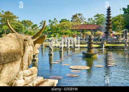 Le Palais d'eau Tirta Gangga, Bali, Indonésie Banque D'Images