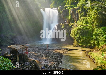 Cascade de Tegalalang paysage près de Ubud, Bali, Indonésie Banque D'Images