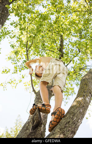 Petit garçon s'amuse à grimper à l'arbre lors de la journée d'été Banque D'Images