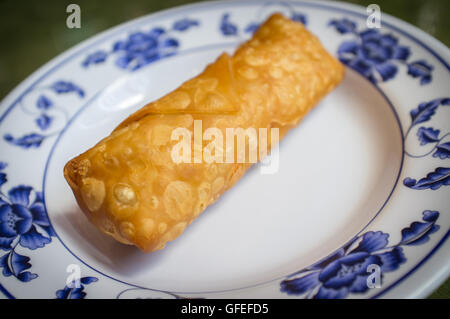 Chinese fried egg rolls croustillants sur assiette fantaisie Banque D'Images