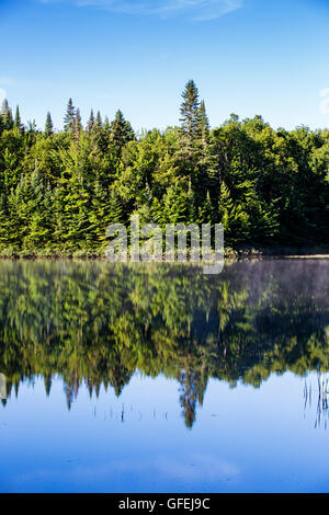 Misty Matin d'été à Mont Tremblant Park-Canada. Banque D'Images