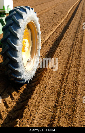 Israël, désert du Néguev, graines de plantes du tracteur dans un champ Banque D'Images