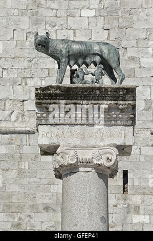 Colonne avec Wolf capitolin statue, légende de Rome Banque D'Images