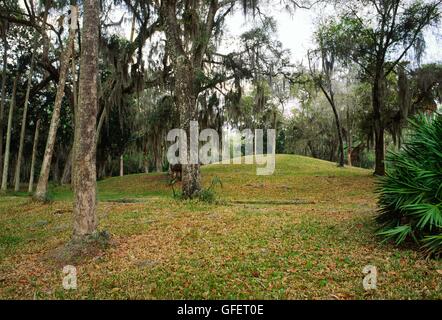 Complexe préhistorique à Crystal River, sur la côte ouest de la Floride, USA. Rituel Indien butte de la Culture du Mississippi Banque D'Images