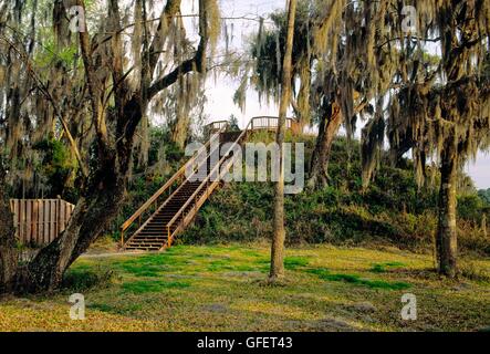 Complexe préhistorique à Crystal River, sur la côte ouest de la Floride, USA. Rituel Indien butte de la Culture du Mississippi Banque D'Images