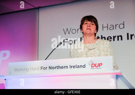 Belfast, Irlande du Nord. 23 Nov 2013 - Arlene Foster aborde la DUP 2013 Conférence des Parties Banque D'Images