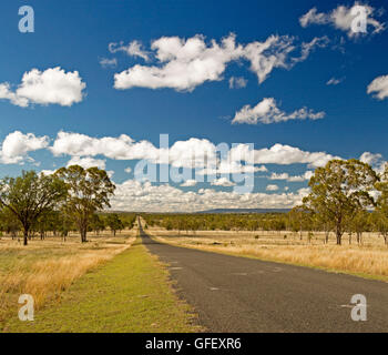 Longue ligne droite route menant à travers prairies et forêts d'eucalyptus golden outback de l'Australie à horizon lointain under blue sky Banque D'Images