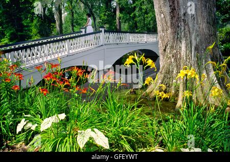 Magnolia Gardens près de Charleston, Caroline du Sud, USA date de 1680. Jeune femme en robe blanche sur le pont en bois Banque D'Images