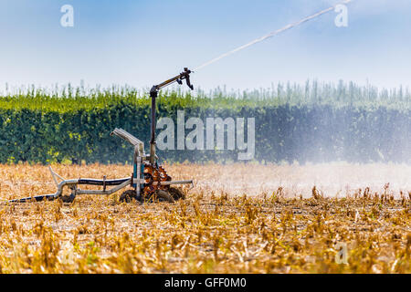 Pulvérisation haute pression d'une buse d'irrigation et l'arrosage des cultures sèches en flocons Banque D'Images