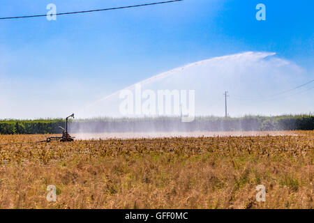 Pulvérisation haute pression d'une buse d'irrigation et l'arrosage des cultures sèches en flocons Banque D'Images
