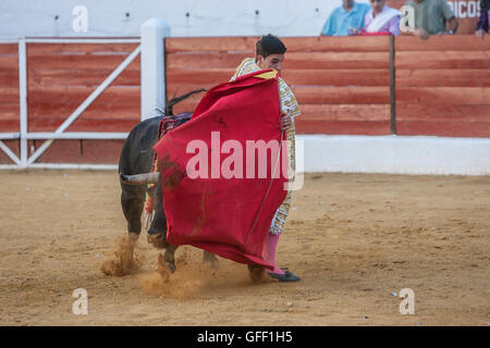 Le torero Espagnol Jose Carlos Venegas la corrida avec la béquille dans l'Arène de Sabiote, Espagne Banque D'Images