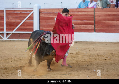 Le torero Espagnol Jose Carlos Venegas la corrida avec la béquille dans l'Arène de Sabiote, Espagne Banque D'Images