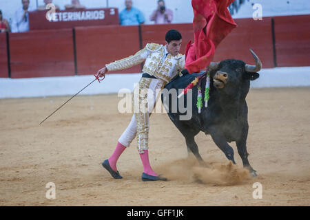 Le torero Espagnol Jose Carlos Venegas la corrida avec la béquille dans l'Arène de Sabiote, Espagne Banque D'Images