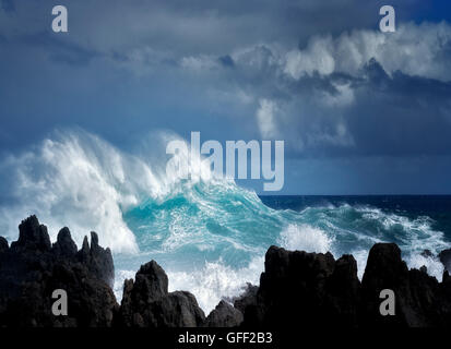 Le fracas des vagues à Laupahoehoe Point. Hawaii, l'île. La grande île. Banque D'Images