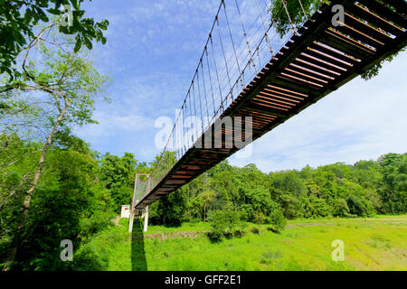 Pont de corde ou de suspension bridge in forest à Khao Kradong Forest Park à Buriram Province,THAÏLANDE. Banque D'Images