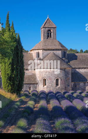 Abbaye de Sénanque en Provence, France Banque D'Images