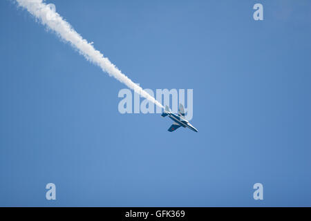 Tokyo, Japon - 3 novembre, 2014 : l'Air Force d'autodéfense japonaise organise son meeting aérien annuel à leur base aérienne Iruma Banque D'Images