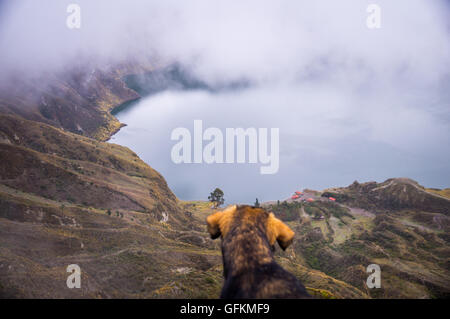 Chien à la recherche au lac de cratère volcanique Quilotoa en, en Équateur. Quilotoa est un endroit populaire à visiter. Banque D'Images