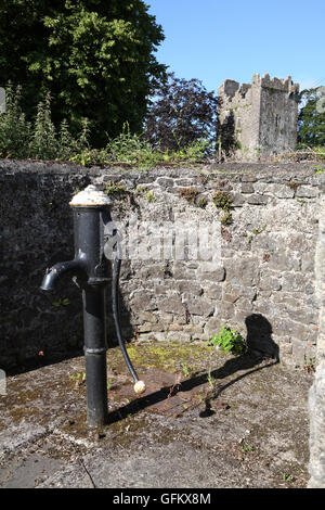 La pompe à eau près de Burnchurch Château 15ème siècle, une tour Norman house, situé dans le comté de Kilkenny, Irlande Banque D'Images