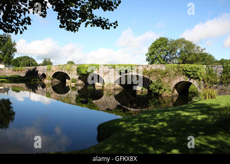 Pont sur la rivière des rois à Kells, comté de Kilkenny Irlande Banque D'Images