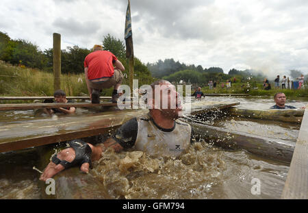 Un concurrent se dégage de l'underwater tunnels pendant dur l'ortie Warrior 2016 à South tonne Farm dans le Staffordshire. Banque D'Images