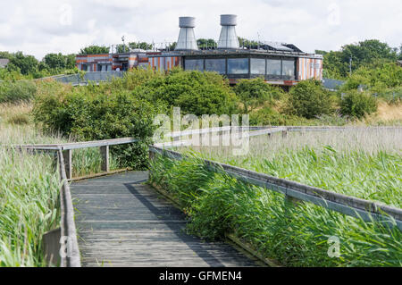 L'environnement et de l'éducation RSPB Rainham Centre en Réserve Naturelle des Marais de Londres Angleterre Royaume-Uni UK Banque D'Images