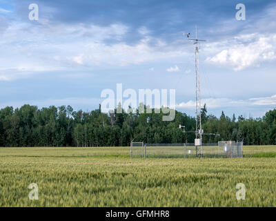 Station météo dans un champ de blé Banque D'Images