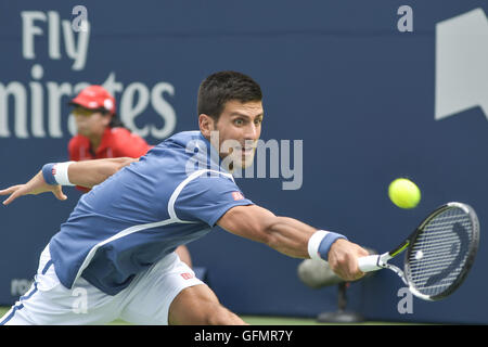 Toronto, Ontario, Canada. 31 juillet, 2016. Novak Djokovic bat Kei Nishikori en finale de la Coupe Rogers, hommes, 6-3, 7-5. Credit : Joao Luiz de Franco/ZUMA/Alamy Fil Live News Banque D'Images