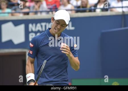 Toronto, Ontario, Canada. 31 juillet, 2016. Novak Djokovic bat Kei Nishikori en finale de la Coupe Rogers, hommes, 6-3, 7-5. Credit : Joao Luiz de Franco/ZUMA/Alamy Fil Live News Banque D'Images