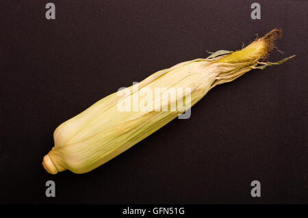 Le maïs frais non ouvert avec s/n Banque D'Images