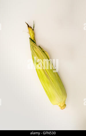 Le maïs frais non ouvert avec s/n Banque D'Images